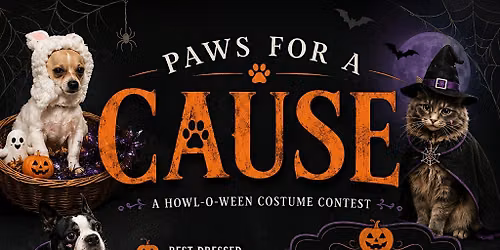 Halloween Pet Fashion Show