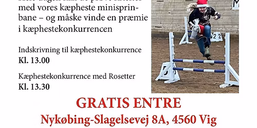 JULEMARKED i RIDEHALLEN