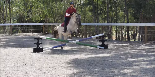 YDRC November Rally- Jumping with Sheridan Houston