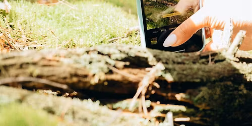 Photography: Cellphone Use 101