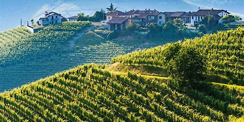 Discover the Wines of Piemonte, Italy