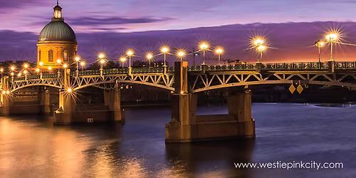 Westie Pink City 2026 \u2014 WSDC Registry Event