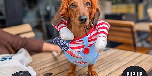 Hallo-ween Dachshund Pup Up Cafe \u2013 Birmingham\ud83c\udf83