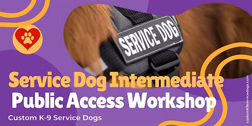 Service Dog Intermediate Public Access Workshop