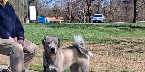 Pet Blessing and Adoptables Meet