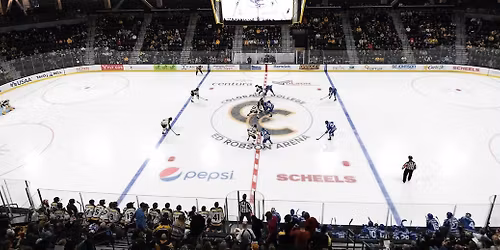 Denver Pioneers at Colorado College Tigers Mens Hockey