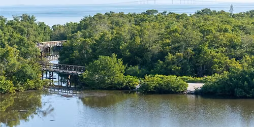 Robinson Preserve: Nature Walk