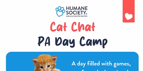 Cat Chat PA Day Camp (half day program)