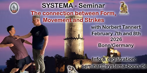 Systema-Seminar; Connection between form, movement and strikes