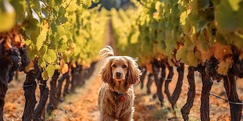 Paws & Pours: An around the world wine tasting