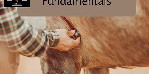 Equine First Aid Fundamentals 