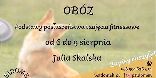 Podstawy pos\u0142usze\u0144stwa i dogfitness z Julk\u0105 Skalsk\u0105