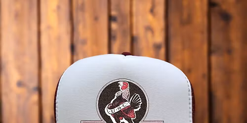 Alabama Crimson Tide at South Carolina Gamecocks Baseball at Founders Park