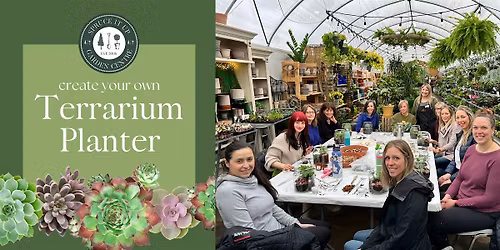 Create Your Own Terrarium Planter