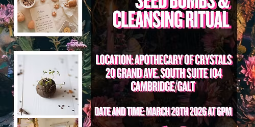 Manifestation Seed Bombs + Cleansing Ritual