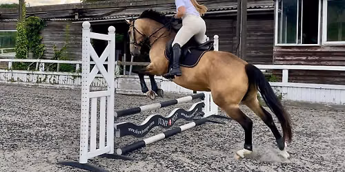 EVENING Sunshine Tour 20\/25cm-65cm Jumping Qualifier