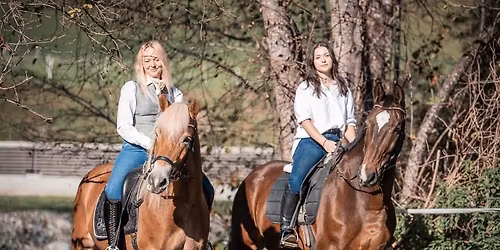 Pferde Advent in Breitenbach