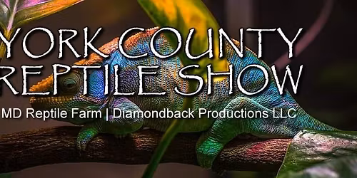 York County Reptile Show