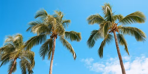 FREE! Zumba at the beach!