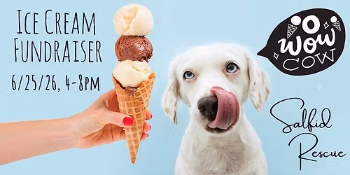 Owowcow Ice Cream Dine-to-Donate