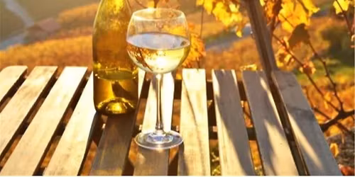 Vinsmagning: Chardonnay