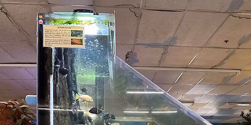 Fun Friday at Biomes!