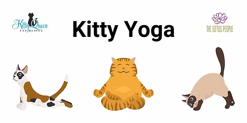 Kitty Yoga