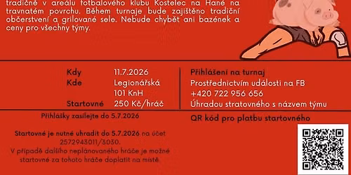 VIII. Ro\u010dn\u00edk volejbalov\u00e9ho turnaje Kosteleck\u00e1 svi\u0148a