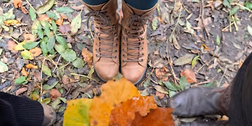 One For All Forest School - Daytime Summer Wednesday Workshop (6 sessions)