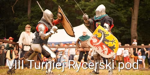 VIII Turniej Rycerski pod Zamkiem Cisy