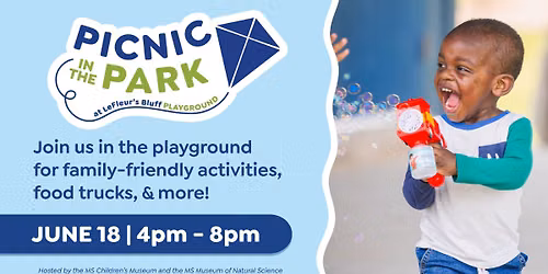 Picnic in the Park — LeFleur's Bluff Playground