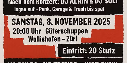 Punk Night Z\u00fcri