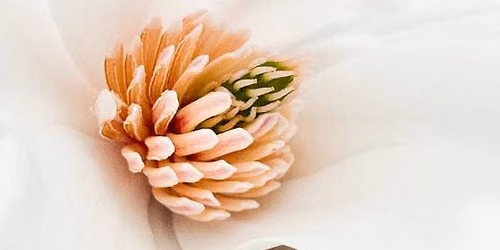 Creative Smartphone Imagery