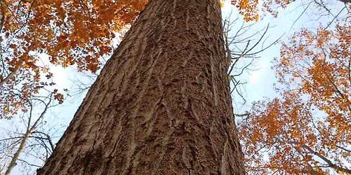 volunteer to help us get ready for winter