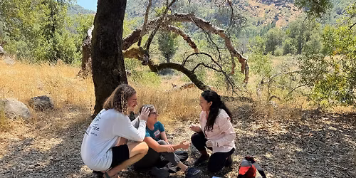 Wilderness First Aid Certification Course