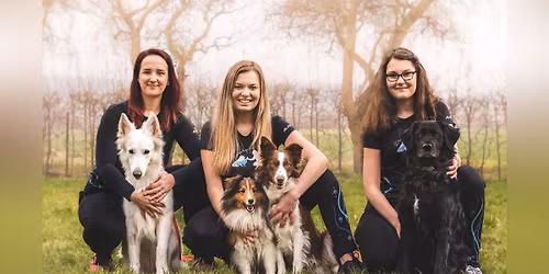 Dream dogs camp 2026!