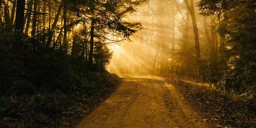 Heartwork for Daily Life: An Invitation to Journey with Christian Mystics With Mark Burrows