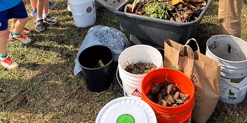 Farm Camp Six Sessions