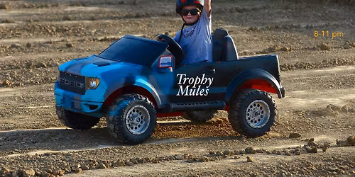 Trophy Mules acoustic in Edwardsville