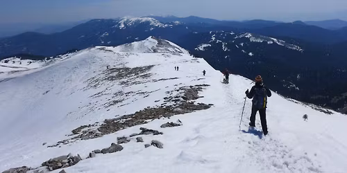 \u03a0\u0391\u03a1\u039d\u03a9\u039d\u0391\u03a3