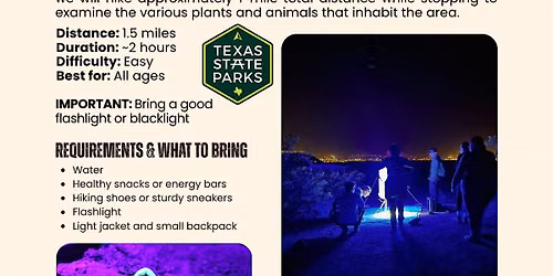 Who\u2019s Running Around the Desert at Night?