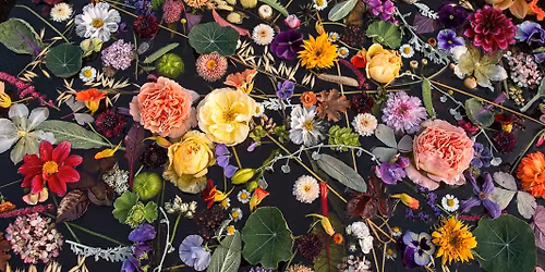Blomsterbinder for en dag\ud83c\udf38