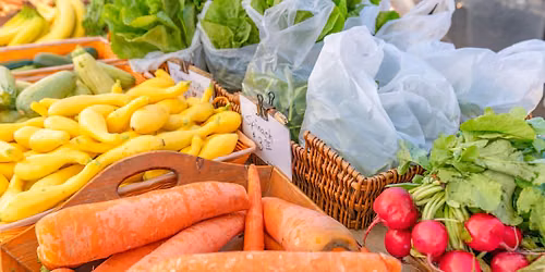 Venice Florida Farmers Market 