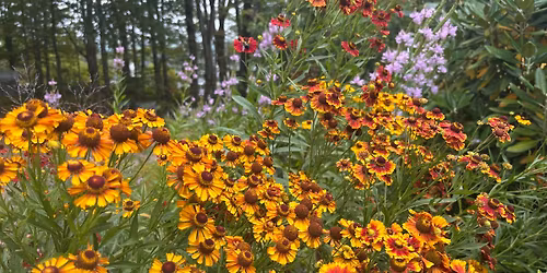 Opening Day May 9th!