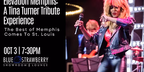 Elevation Memphis: A Tina Turner Tribute Experience