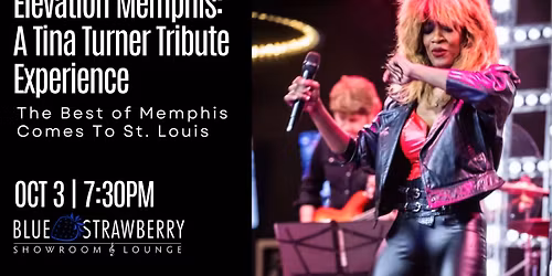 Elevation Memphis: A Tina Turner Tribute Experience
