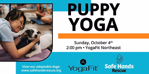 Safe Hands Rescue Puppy Yoga at Yoga Fit (Northeast)