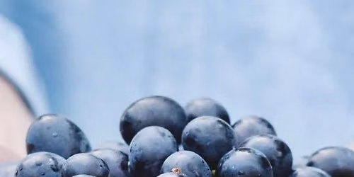 LAS Blueberry Social