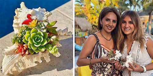 Succulent Shell Workshop (Point Loma, San Diego)
