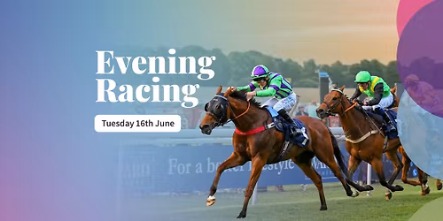 Evening Racing 